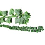 Κισσός Αναρριχώμενος σετ=12x2,1cm 12 τεμ x 2,1m Homie 423045