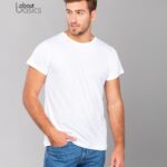 Pine - 00560