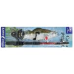 Σετ Καλάμι Ψαρέματος με Μηχανισμό 40 εώς 160cm SummerTiempo 62997
