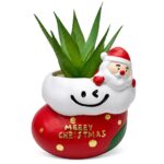 Γλαστράκι με Λουλούδια, Merry Christmas Άγιος-Μπότα 11x9cm Xmasfest 1134161